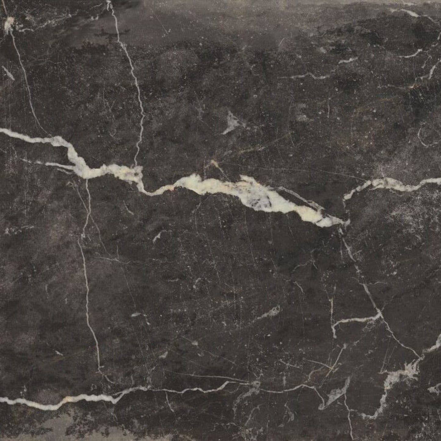 Monarch Black & White Porcelain Tile | 12x12" | 24x48"