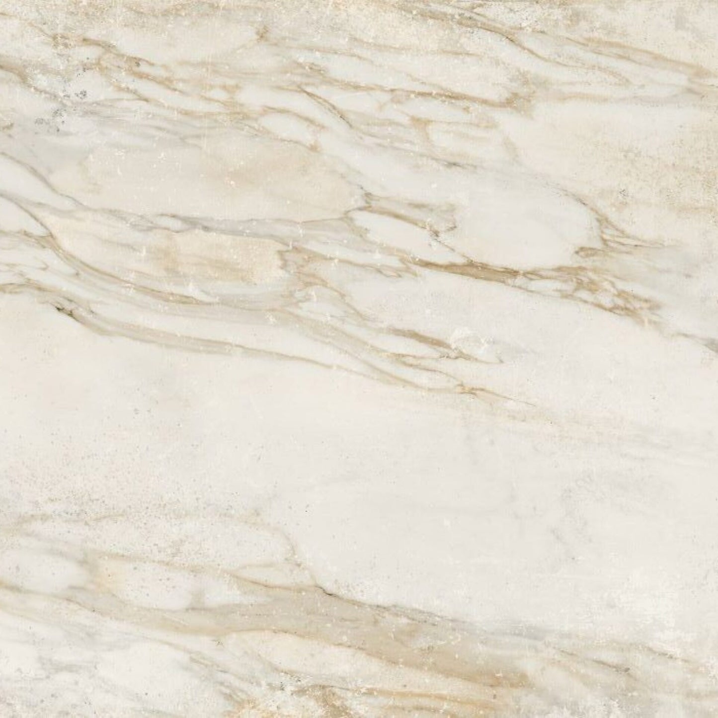 Monarch Porcelain Tile 24x48" | 2 Colors - Tilevanity.com