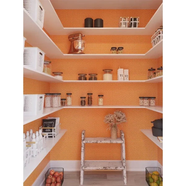 Penny Round Orange Glossy Porcelain Tile Mosaic - Tilevanity.com