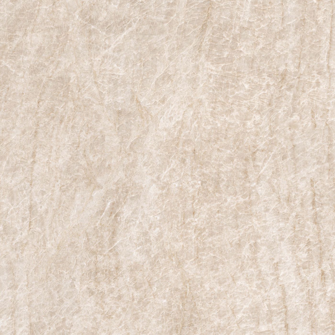 Taj Mahal Porcelain Tile 24x24" | 2 colors - Tilevanity.com