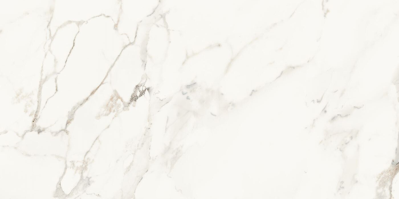 Vena Bianca Porcelain Tile 24x48"