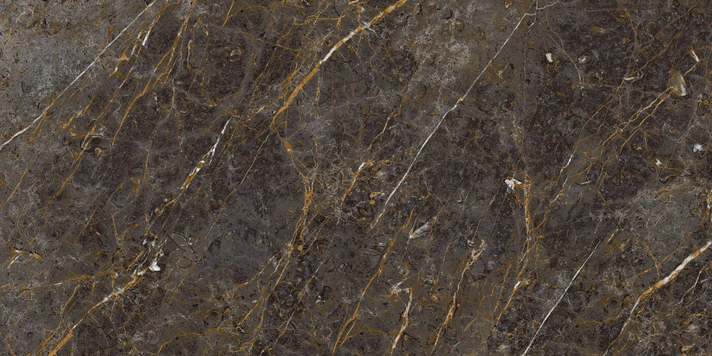 Obsidian Noir Porcelain Tile 24x48"