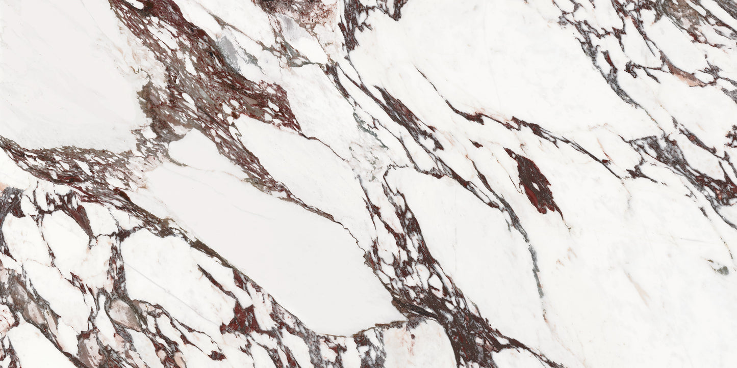 Arabescato Viola Porcelain Tile 24x48"