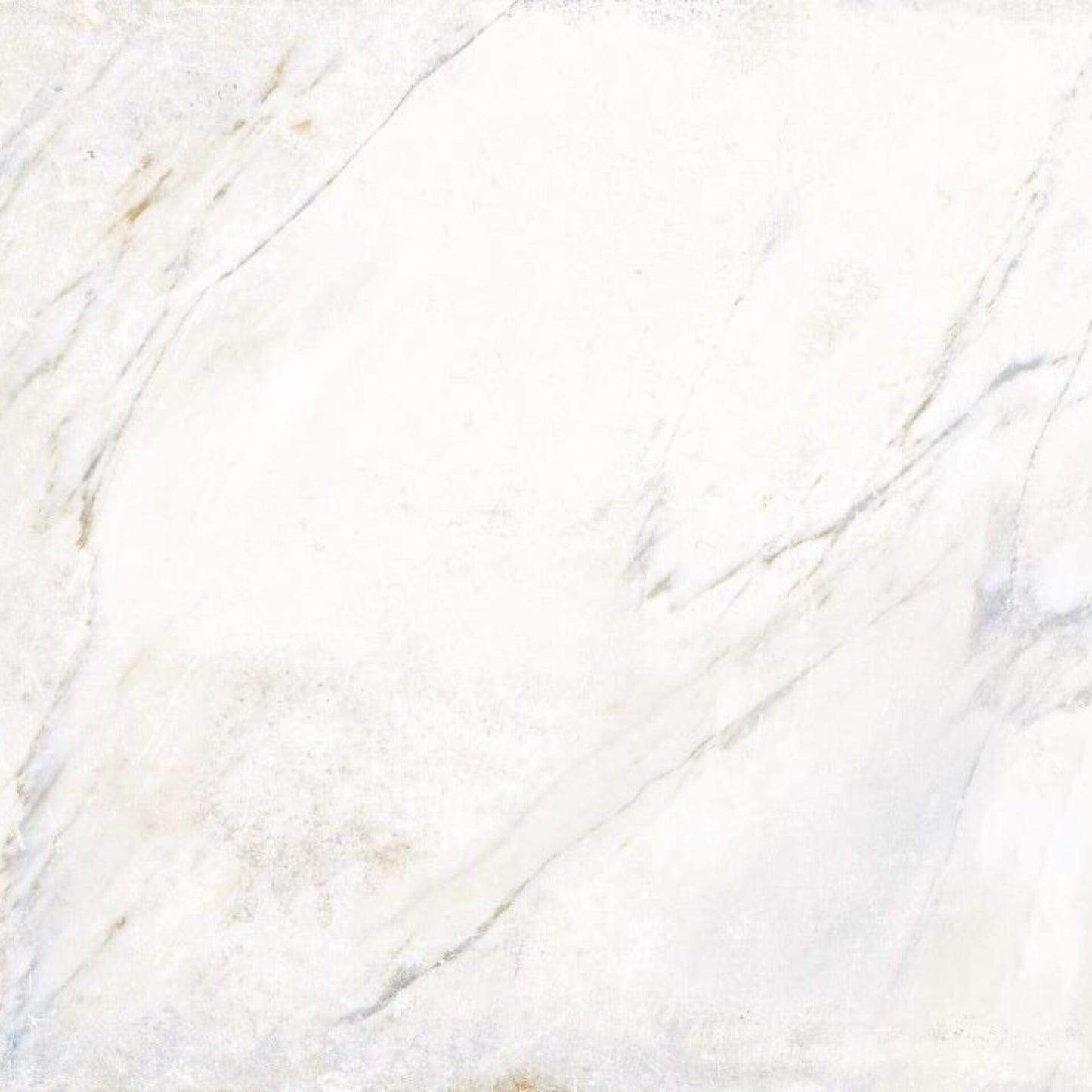 Monarch Black & White Porcelain Tile | 12x12" | 24x48"