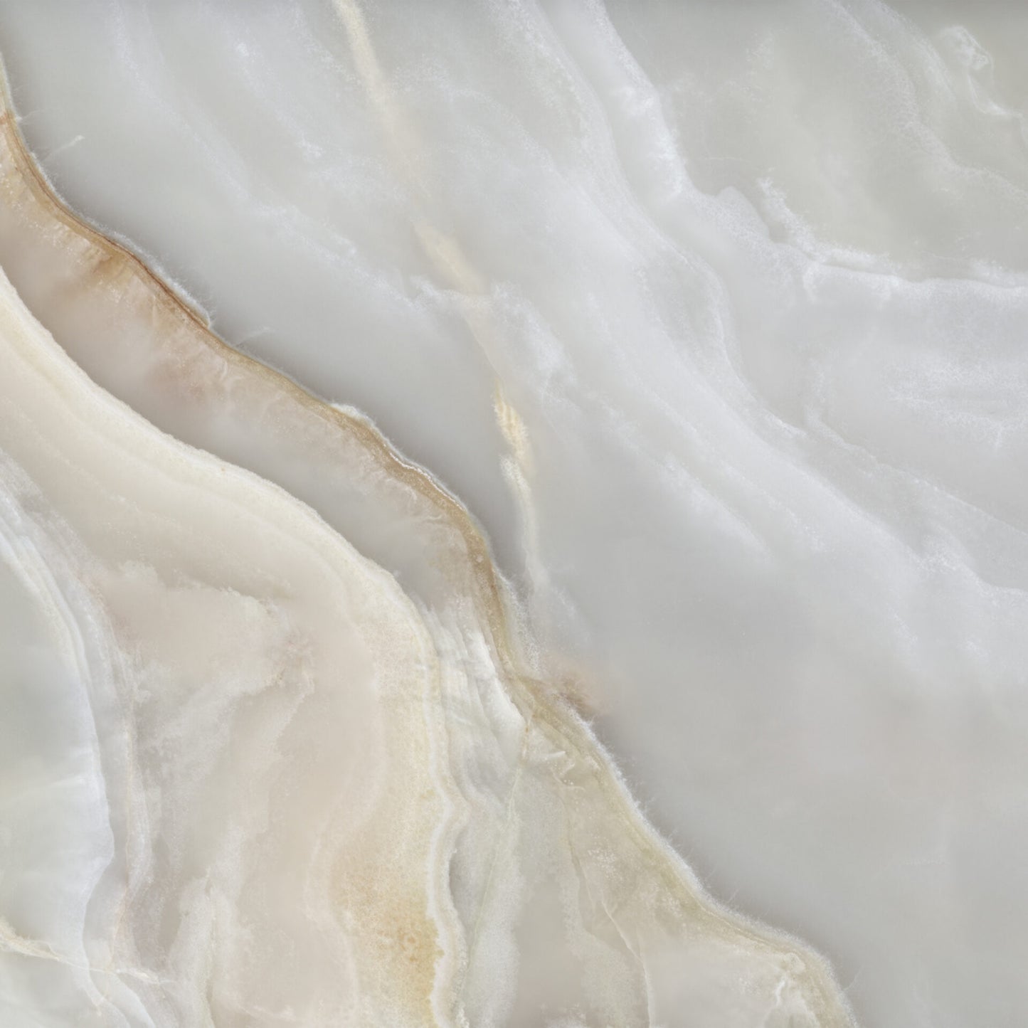 Onice Reale Argento Polished Porcelain 24x48"