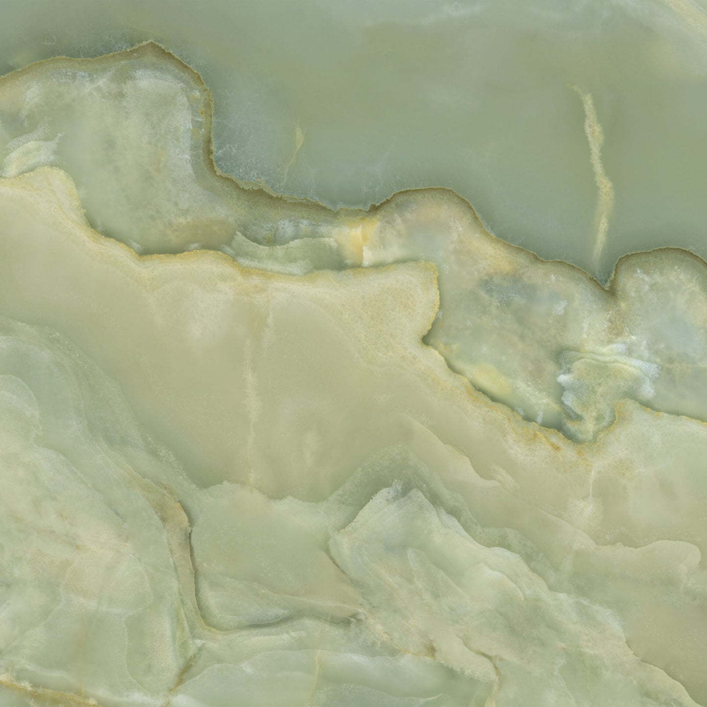 Onice Reale Giada Green Polished Porcelain 24x48"