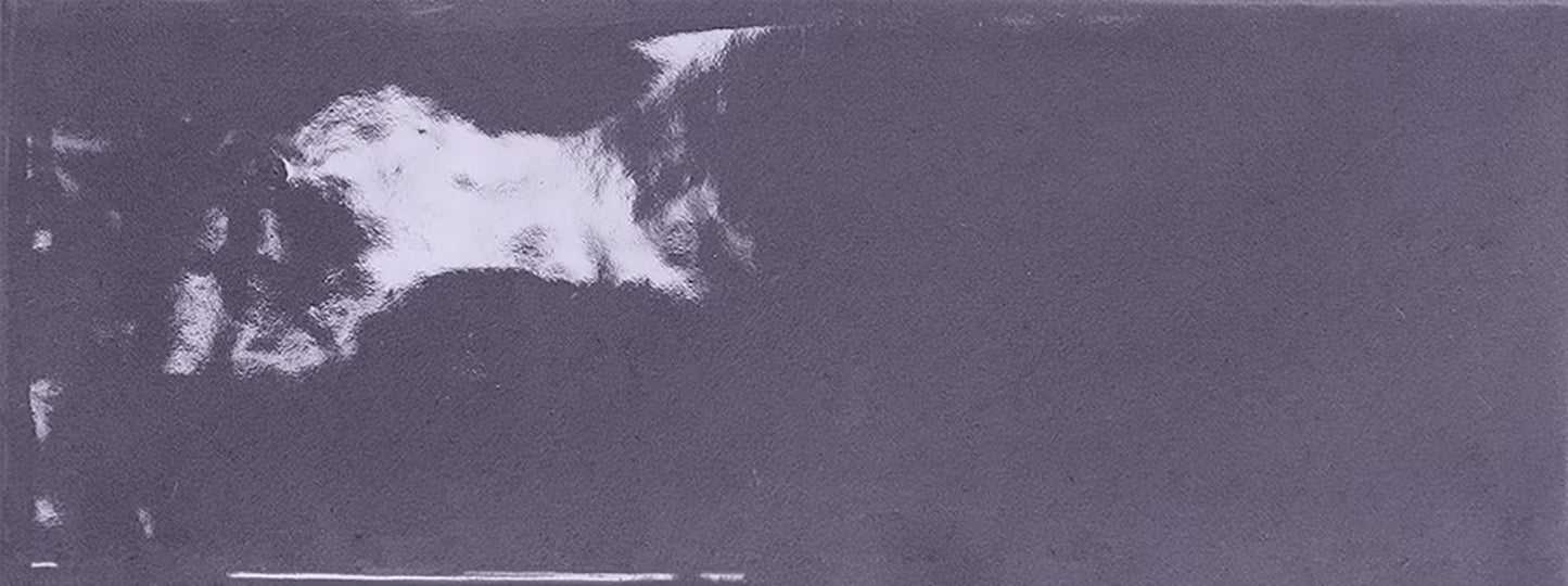 Abeterra 2x8 Porcelain Subway tile - Tilevanity.com