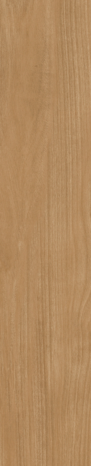 Raia Golden Veil Wood Look Porcelain Tile