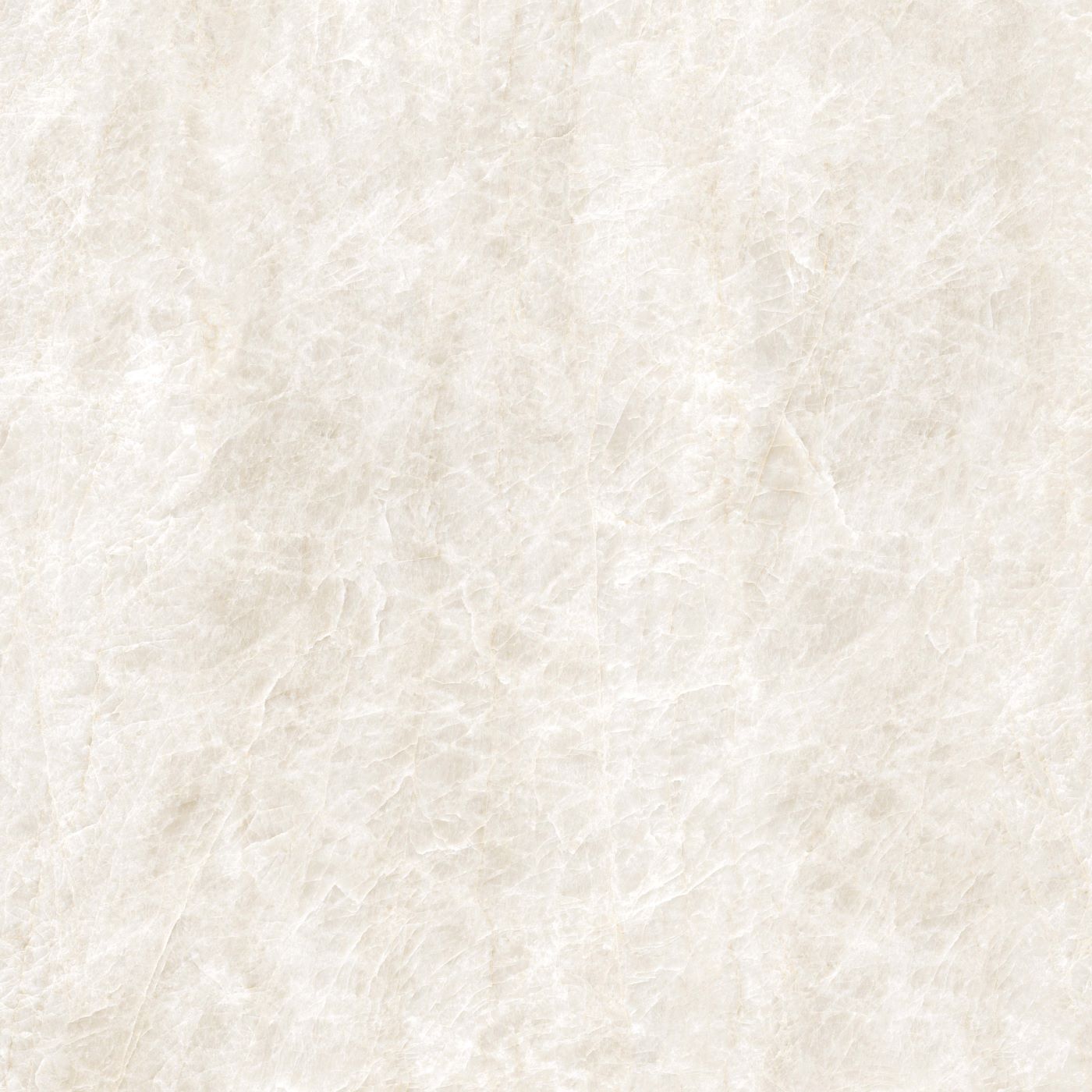 Taj Mahal Porcelain Tile 24x24" | 2 colors - Tilevanity.com